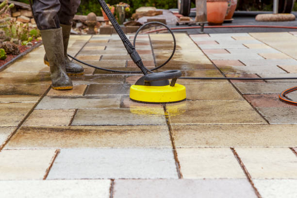 Best Warehouse Cleaning  in Elleale, ND