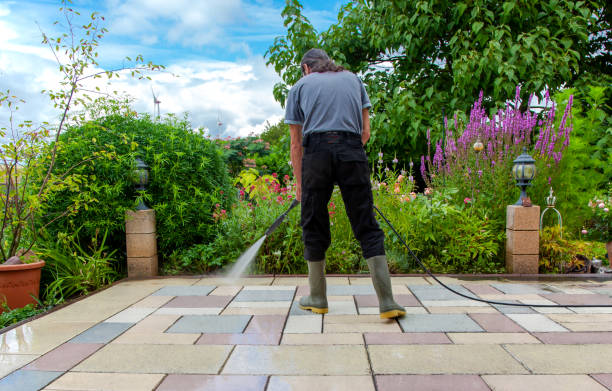 Best Gutter Cleaning  in Elleale, ND