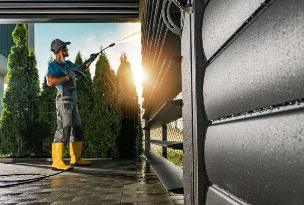 Best Solar Panel Cleaning  in Elleale, ND